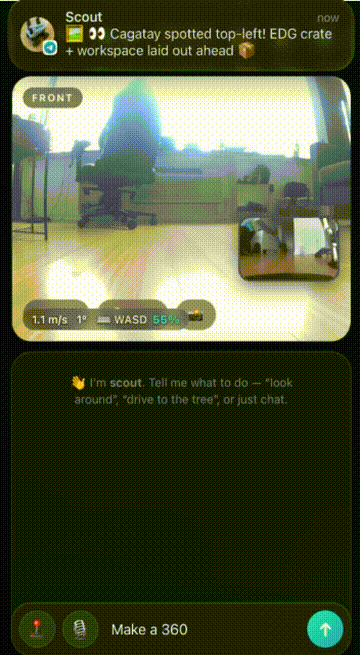 cockpit — asking the agent for a 360, tool calls streaming