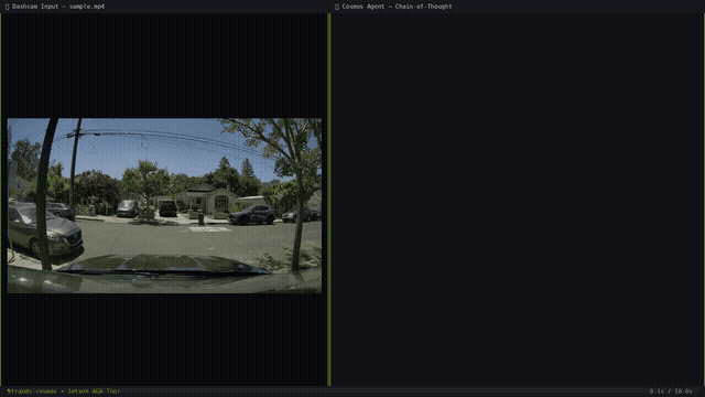 Demo — Driving analysis on Jetson AGX Thor