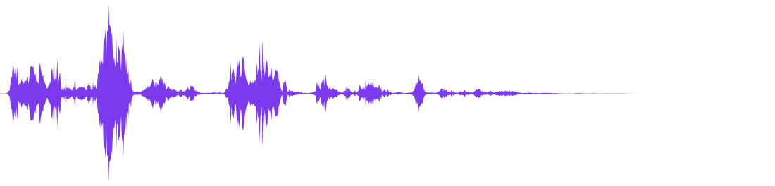 birds waveform